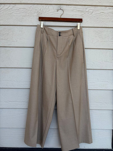 Madewell Pleated Cinch-Back Wide-Leg Pants sz 10P