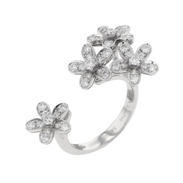 Van Cleef & Arpels Socrates