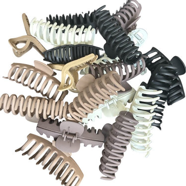 New Assorted Claw Clip | NEW