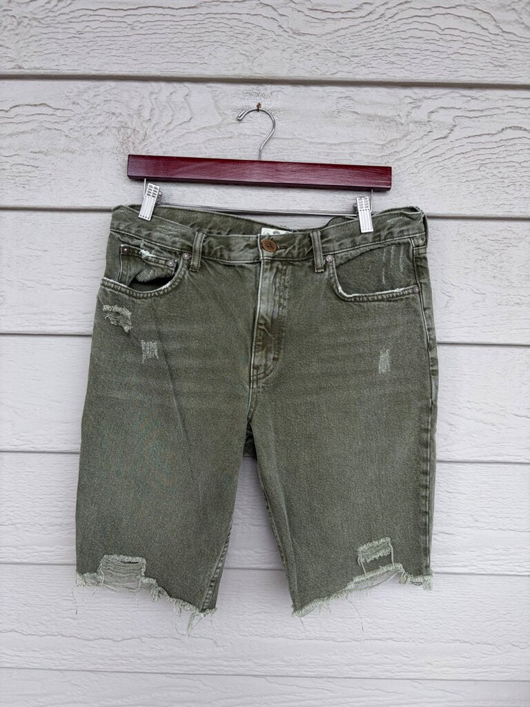 Free People We The Free Distressed Denim Shorts sz THIRTY
