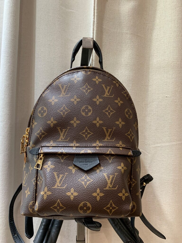 Louis Vuitton Monogram Palm Springs Backpack PM