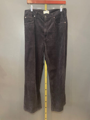 AGOLDE Corduroy Wide Leg Pants sz 27