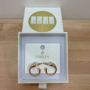 NEW Josslyn Small Hoop Earrings
