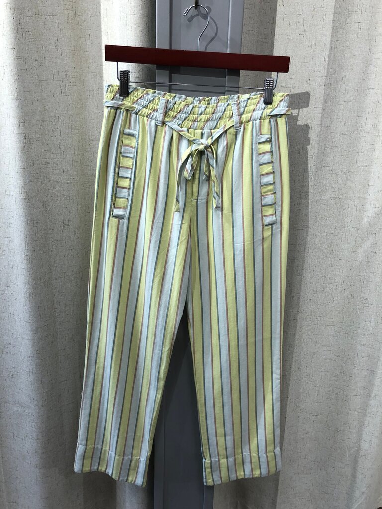 Free People Striped Pants size XS