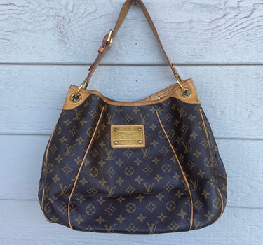 Louis Vuitton Monogram Hobo Bag