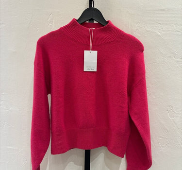 NWT And Other Stories Fuchsia Sweater