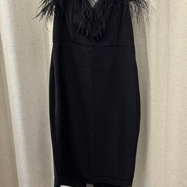 LPA Black Dress with Feather Detail